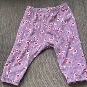 Tea Collection Pants